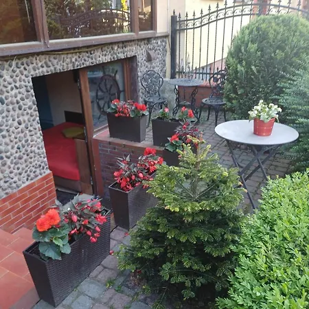 Carmen Dzielnica Uzdrowiskowa 400 M Od Mola Homestay