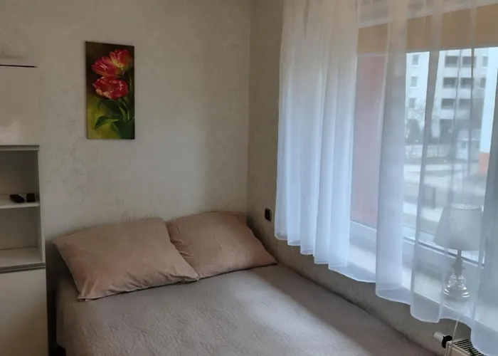 Homestay Carmen Dzielnica Uzdrowiskowa 400 M Od Mola