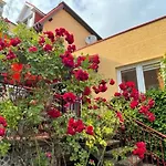 Carmen Dzielnica Uzdrowiskowa 400 M Od Mola Homestay *