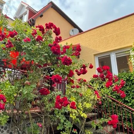 Carmen Alloggio in famiglia *